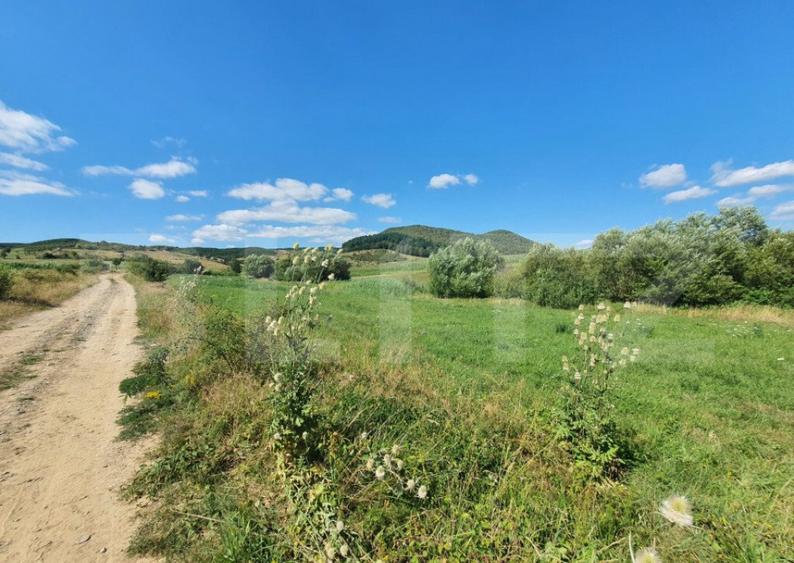 Teren extravilan, 31 de ari in Livezile - 3
