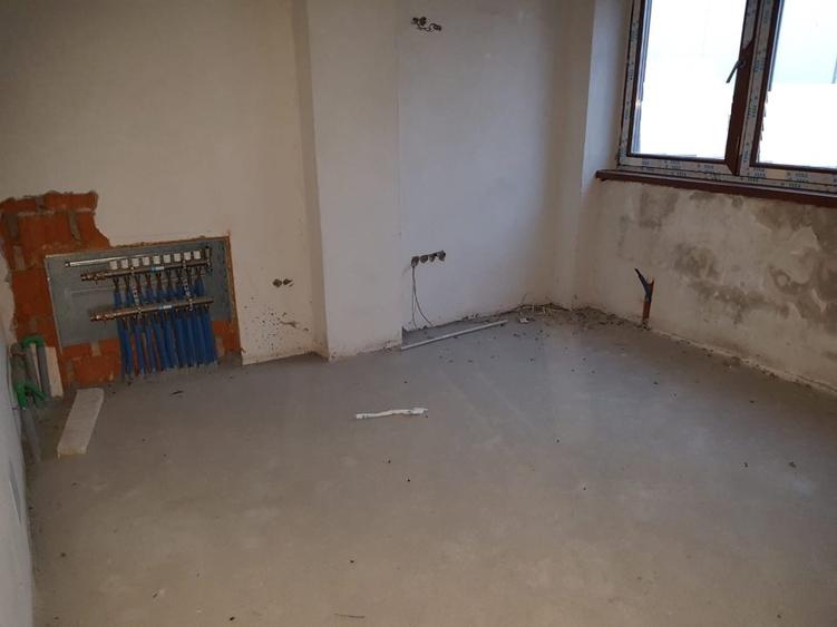 Spatiu comercial + Apartament, Fratii Golesti, teren 300 mp - 2