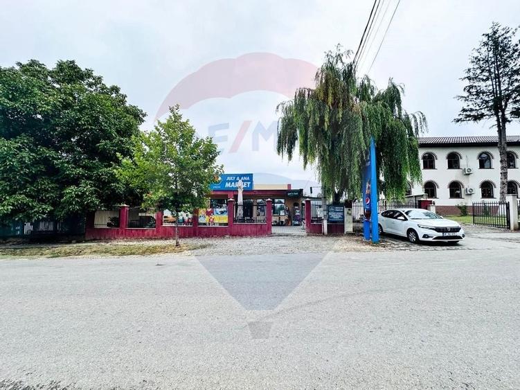 Spatiu Comercial 442mp,Teren 1096mp si Afaceri la cheie-Comana,Giurgiu - 21