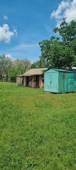 NOU !!! Vind Teren com. Ileana judetul Calarasi !! Discutabil!! - 6