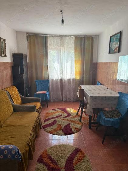 Proprietar,vind casa cu teren,acte la zi,situata in sat Paltinisu comuna Cazane?ti,judet Mehedin?i - 4