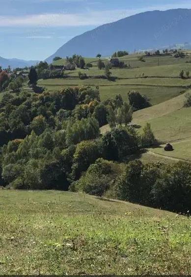 Teren intravilan construibil Poiana Marului, Brasov - 1