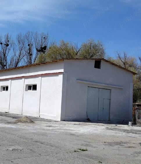 Hala productie depozitare Tomesti - 1