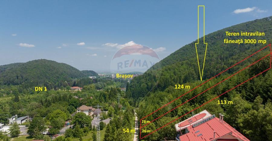 Teren intravilan, 3000 mp, Dambu Morii - 12