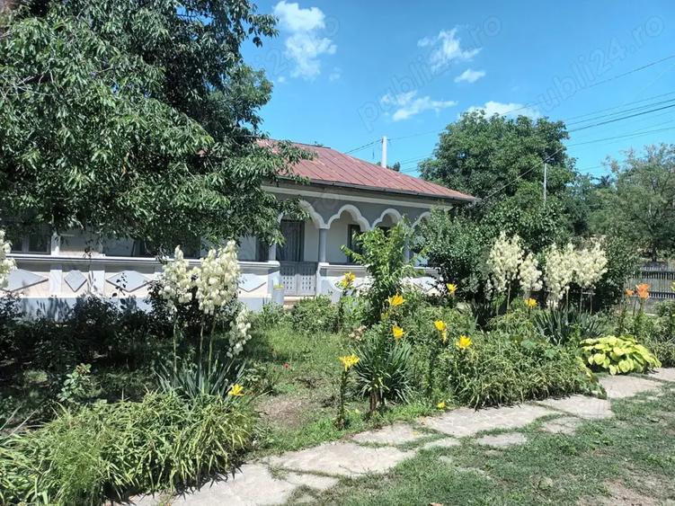 Casa Crevedia Mare Giurgiu - 3