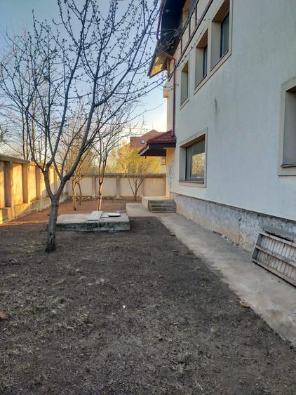 Branesti Calea Bucuresti - 46