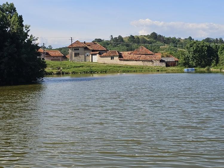 Casa la tara cu 3 camere + teren intravilan Sup 962 mp, Colesti, Bihor - 3