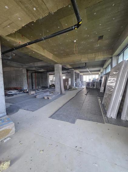 Zona Viilor sp 442 mp open space 10 locuri de parcare - 10