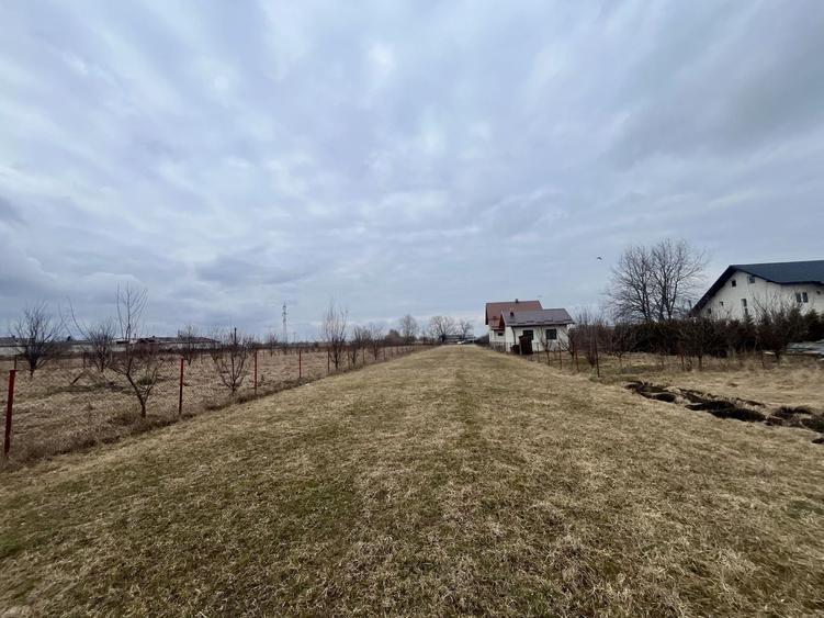 Teren Intravilan 2020 MP | Zonă Linistita | Radauti - 1