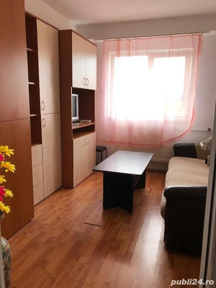 Proprietar gars.lipovei - 4