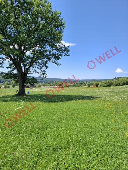 De vânzare teren intravilan de 7.600 m² situat în Sovata, pe strada Alunei (Mogy - 7