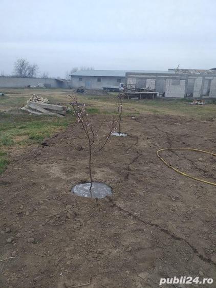 Vinzare teren intravilan - 3