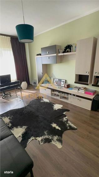 Casa spectaculoasa , Str Branduselor Baia Mare - 8