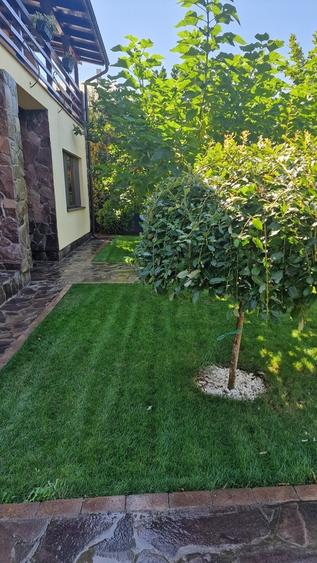 Fundulea, vila 185 mp cu teren 4000 mp, potential dezvoltare imobiliara - 11