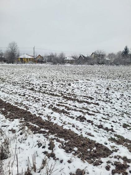 teren intravilan Baicoi - 1