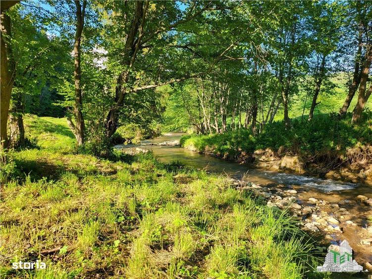 Teren Intravilan 12000 mp, Cascada Urlatoarea,pentru Resort, langa baz - 7