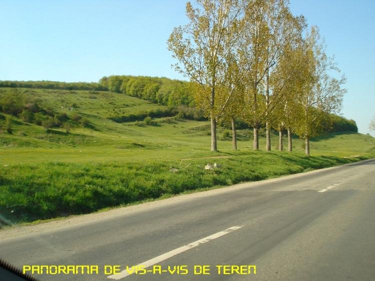 Teren cu potential - 6