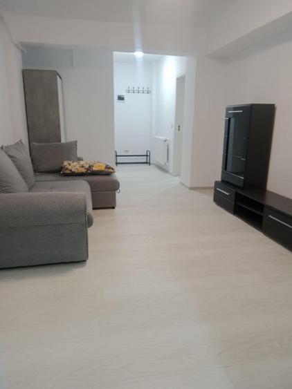 Apartament cu 1 Camera Valea Lupului - 10