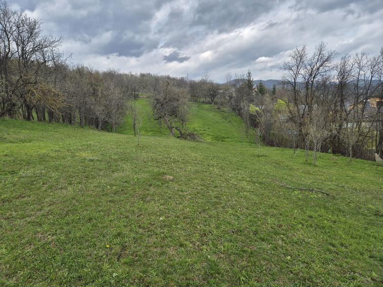 TEREN INTRAVILAN + AUTORIZATIE + LIVADA 4.663 mp Drajna, Faget, Prahova - 4