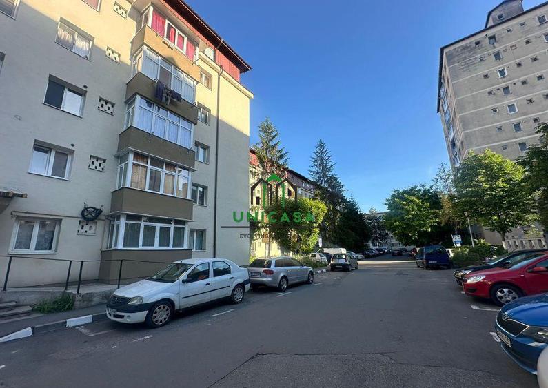 Mansarda - Ostroveni - 6