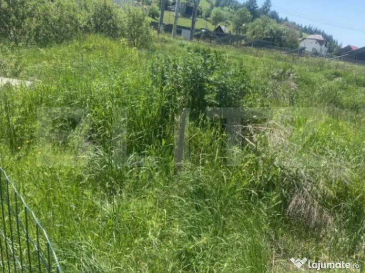 Teren intravilan in Vatra Dornei, 1000 mp - 1