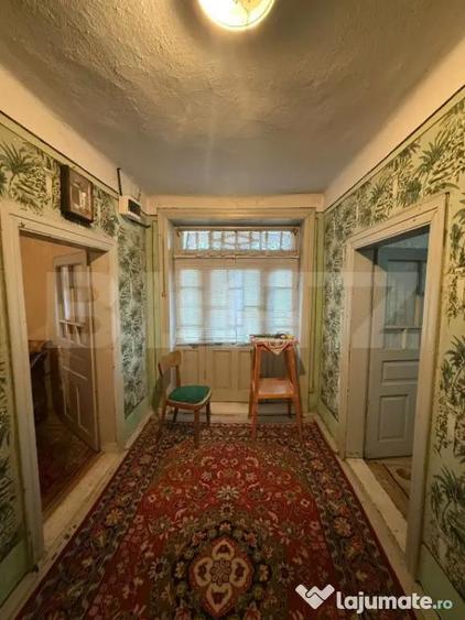 Proprietate completa in Sacuieni- Doua Case + Anexe - 13