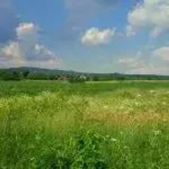 Teren in Urleta,intravilan industrial - 1