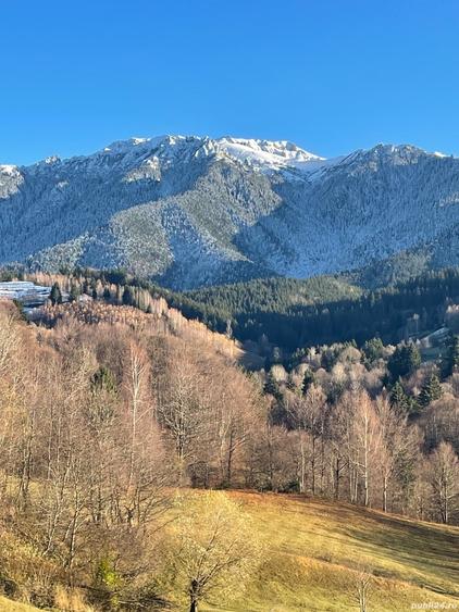 Teren de 10000 mp, în Bran