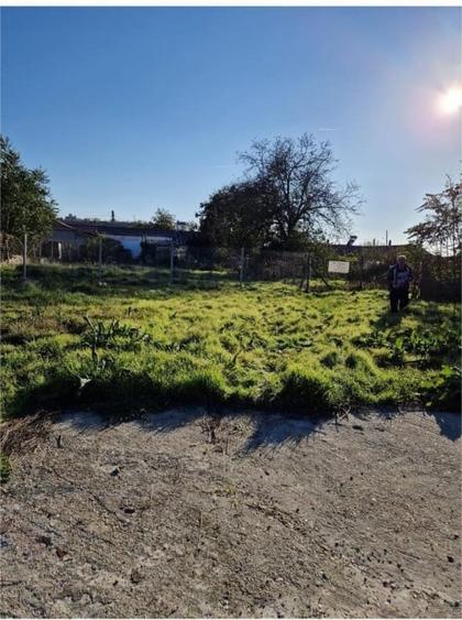 TEREN INTRAVILAN  |  MURFATLAR  |  CONSTANTA - 2