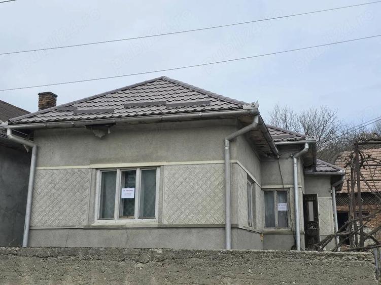 Vand Casa Pamant Padure - 4