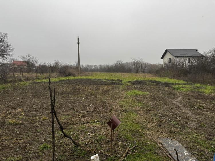 Casa cu teren 4850 mp Sabareni - 5