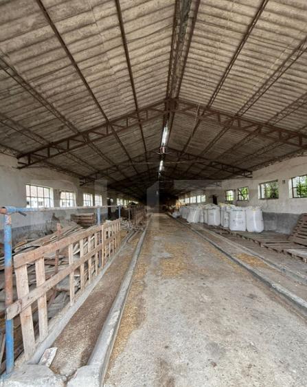 Ferma de Vanzare in judetul Timis, la nord est de Timisoara, - 27