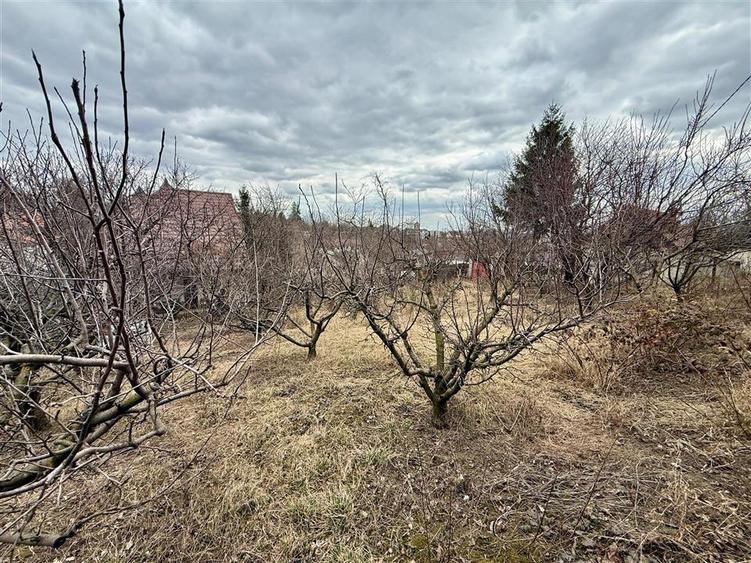 Casa cu Teren de 1481 MP - Iasi - Galata/Nicolina - 3