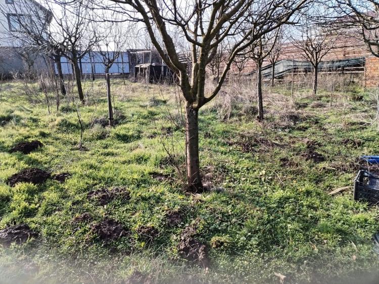 Teren intravilan 609 mp Vidra, deschidere 24 m, ideal pentru construcție - 4