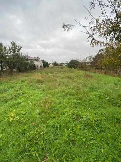 Teren intravilan Tuzla 665 mp aproape de plaja - 2