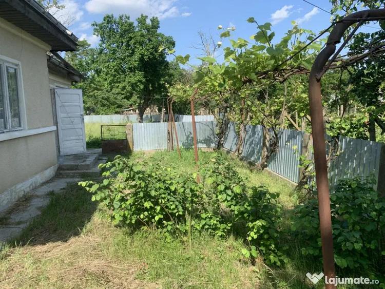Casa + teren 2600 mp- Com. Negri- scop reziden?ial sau ind - 11