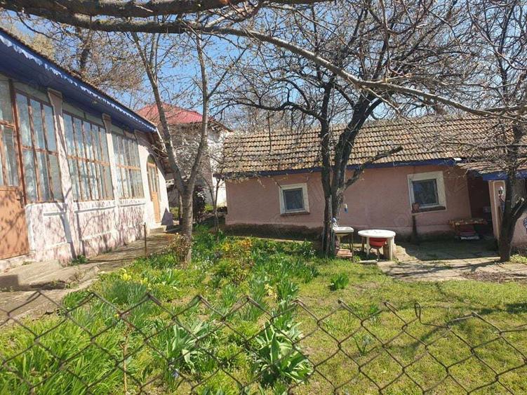 Casa de vanzare sat Navodari, jud Teleorman - 2