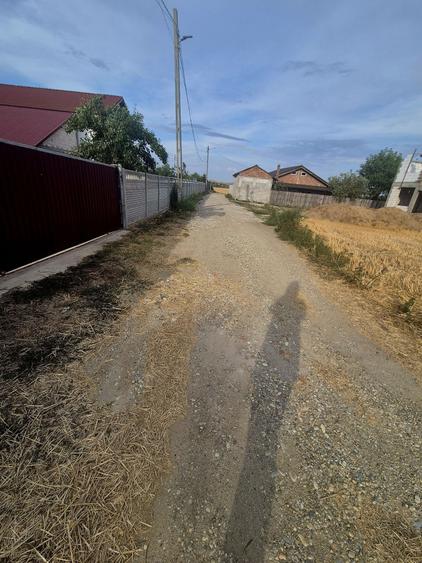 Vand teren intravilan Bals(Vartina), Olt - 6