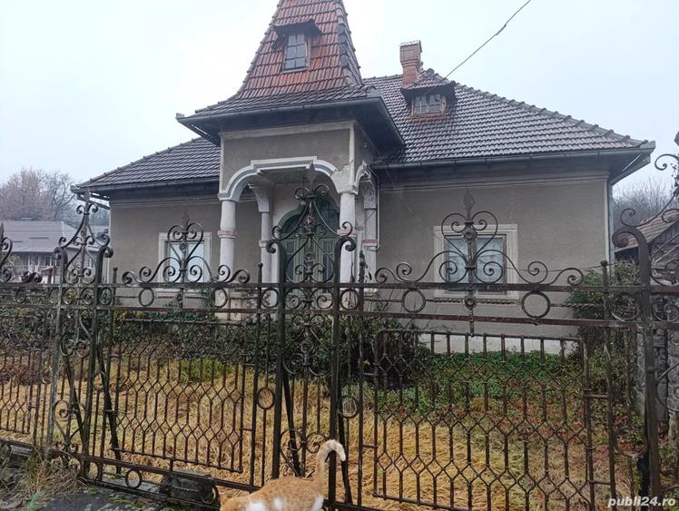 Casa 200 mp + intravilan 2 ha - 3