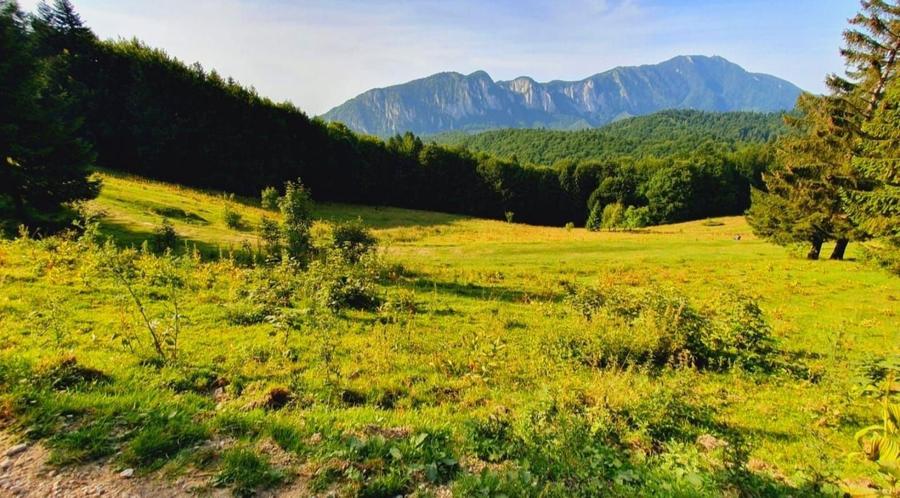 De vanzare teren intravilan Trei Brazi, Predeal - 3