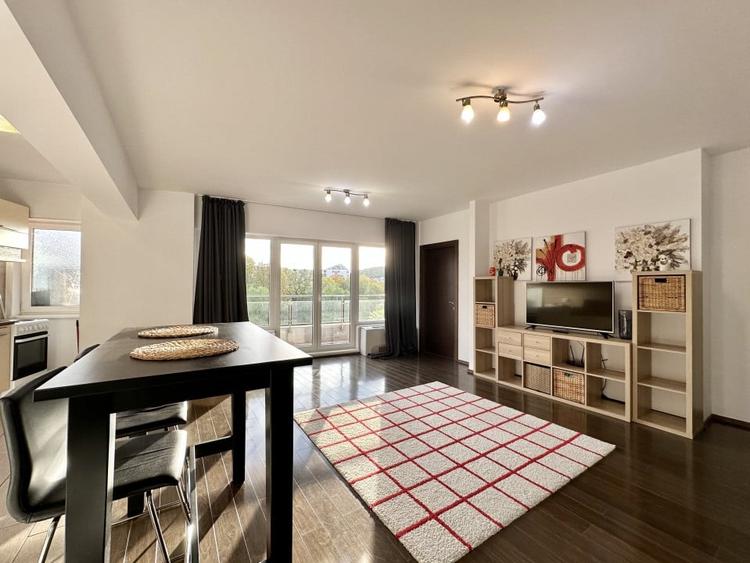 Inchiriere Apartament 2 camere, 67 mp, orientare Sud, Plopilor Vest - 10