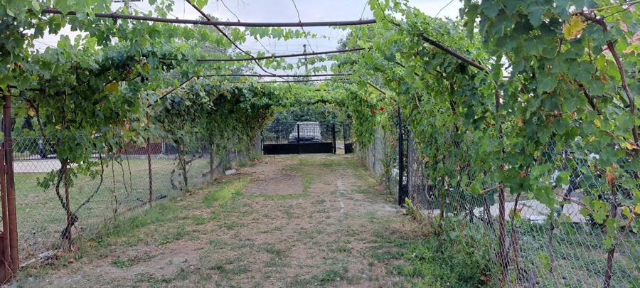 Casa batraneasca renovata complet de vanzare - 1