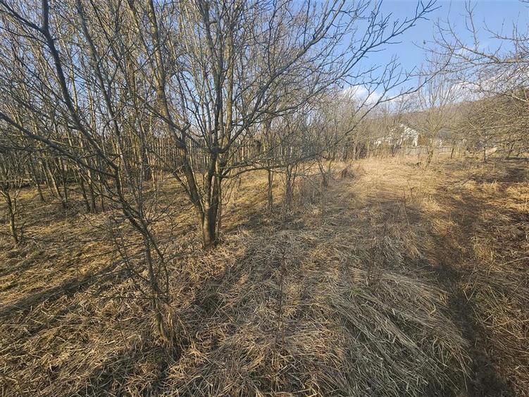 Teren 1000 mp si casa renovabila in Valcanesti . - 5