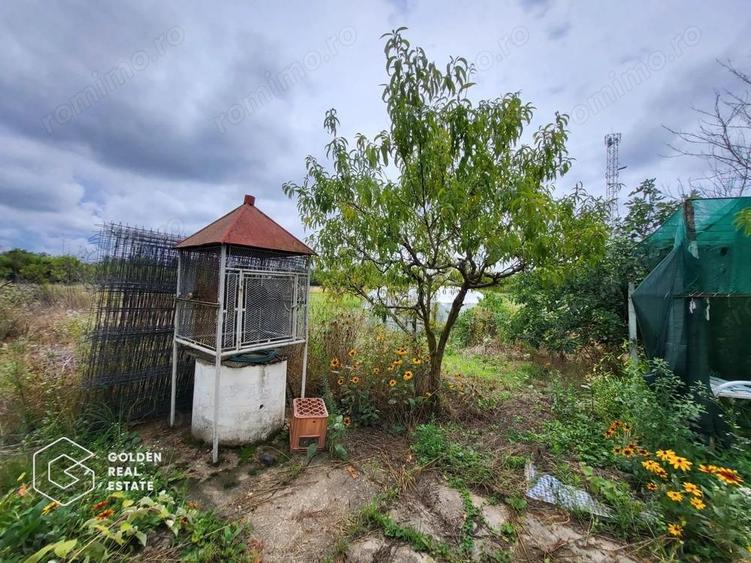 Casa cu D+P+E, 3500 mp teren, zona centrala, Paulis - 20