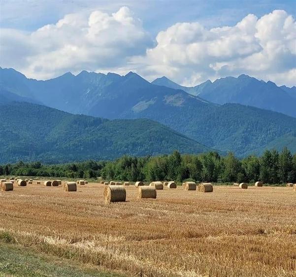 FILM! Resedinte montane,mobilate,echipate, jacuzzi,piscina,pretios areal,Sambata - 25