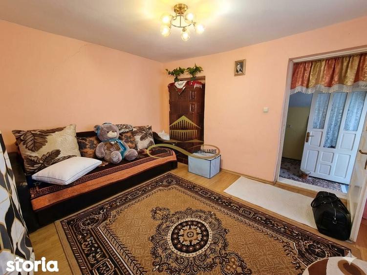 Casa de vanzare Crihan | 500 mp teren | 36.000 - 1