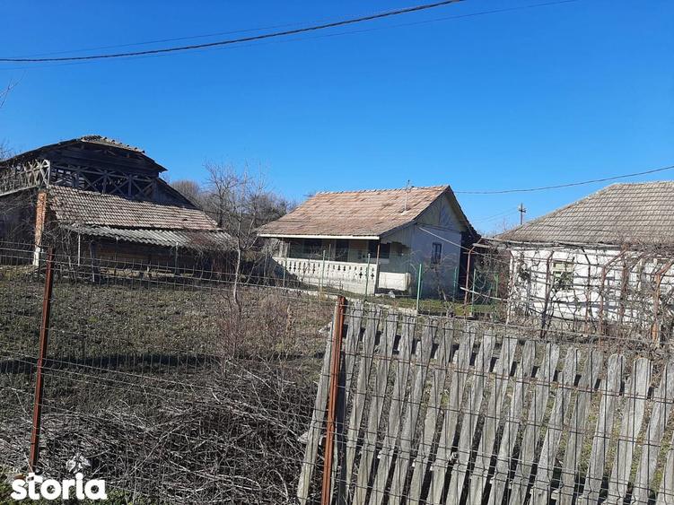 Gospodarie de vanzare in Lapusata Valcea - 4