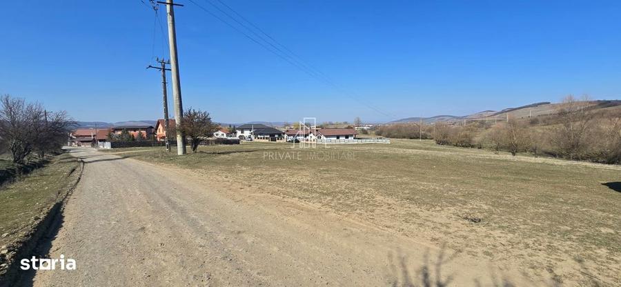 Teren 4 362 Mp Intravilan de Vanzare, Str Caprioarei, Sangeorgiu de Ms - 9