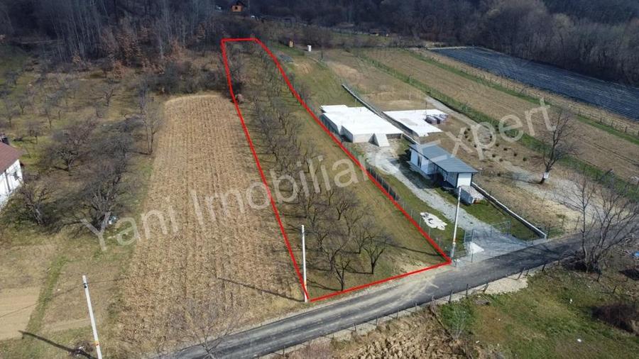 Teren de vanzare in comuna Albe?tii de Arge?, jude? Arge?. - 9