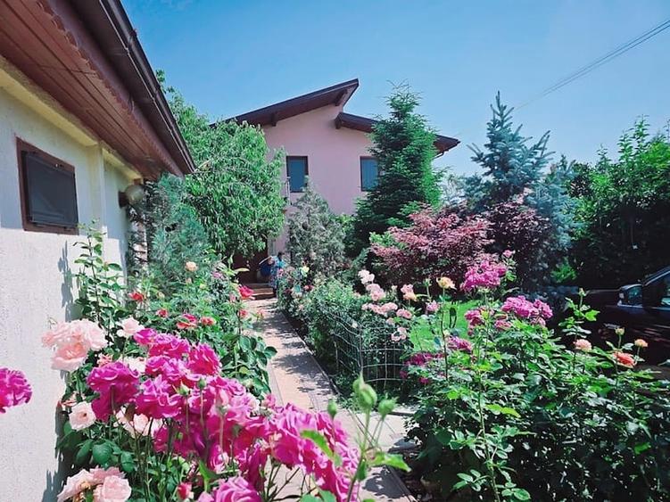 Vilă individuală Pantelimon | 180 mp utili | teren 518 mp | mobilată | curte ame - 1